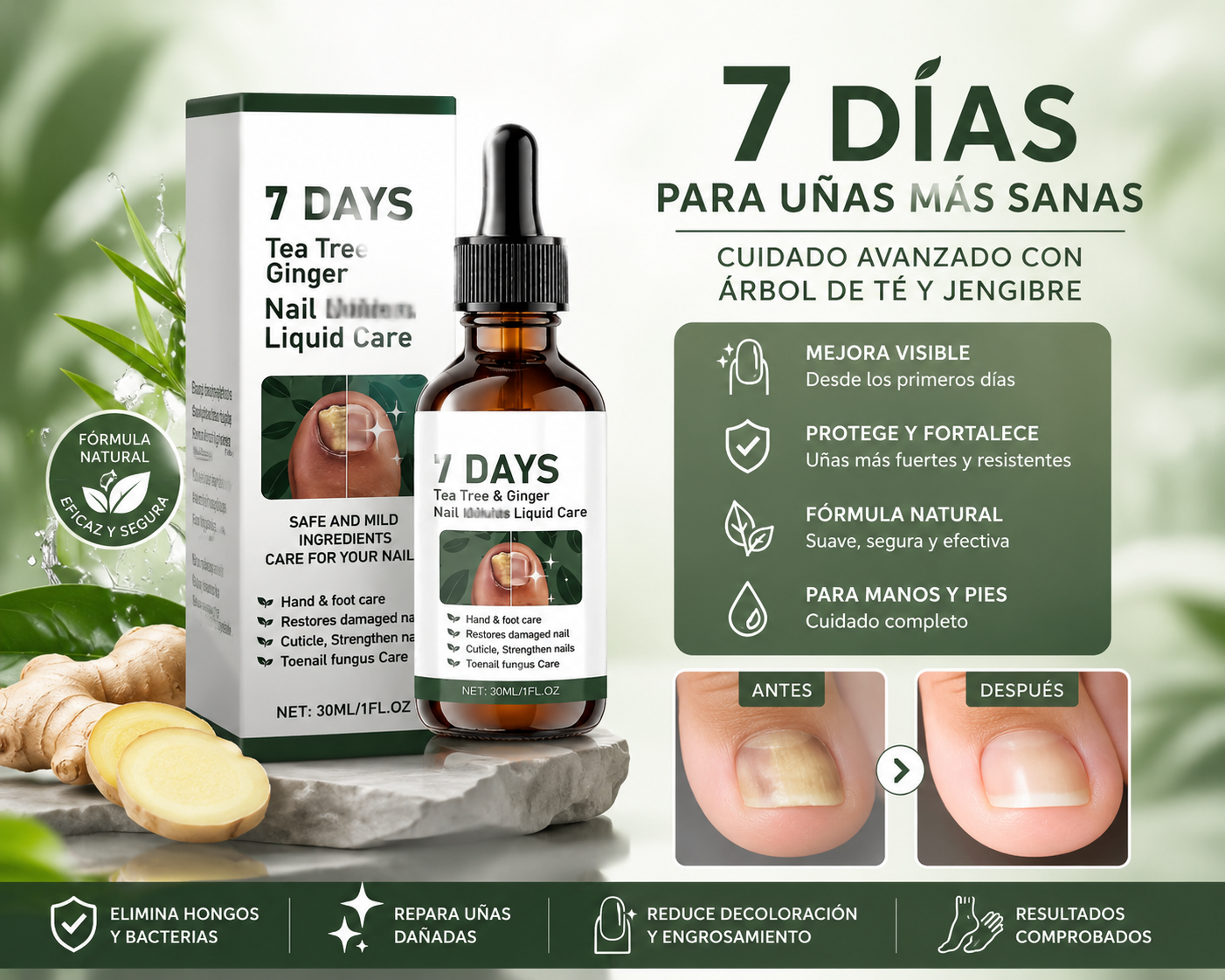 Tratamiento Reparador de Uñas con Árbol de Té y Jengibre